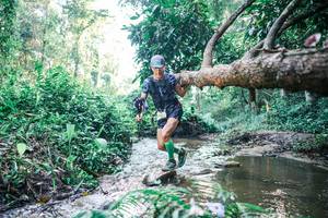 BIB: 
                            <button type="button" onclick="openModal(25433350)" class="btn btn-primary btn-sm float-right btn-popup" data-toggle="modal" data-target=".modal-high-quality">
                        <i class="fas fa-shopping-cart"></i> Add to Cart
                    </button>
                                            <button type="button" onclick="isThisMe(25433350, true)" class="btn btn-success btn-sm float-right btn-popup btn-isme hidden" data-toggle="tooltip" data-placement="bottom" title="นี่คือรูปของคุณใช่ไหม คลิกที่นี่เพื่อเอาเข้าอัลบั้ม">
                        <i class="fas fa-plus"></i> Add to album
                    </button>
                    <button type="button" onclick="isThisMe(25433350, false)" class="btn btn-warning btn-sm float-right btn-popup btn-isnotme hidden">
                        <i class="fas fa-ban"></i> Remove from album
                    </button>